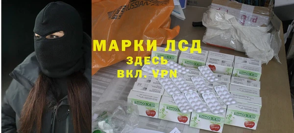 хмурый Бородино